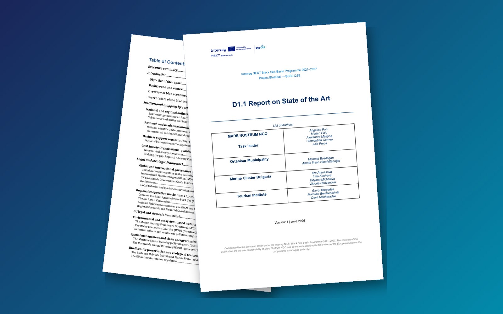Cover pages of the BlueDial Report on State of the Art
